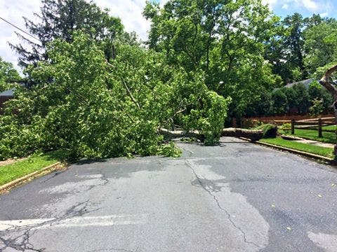 Downed Wires, Power Outages in Cherry Hill as Storm Hits Region ...