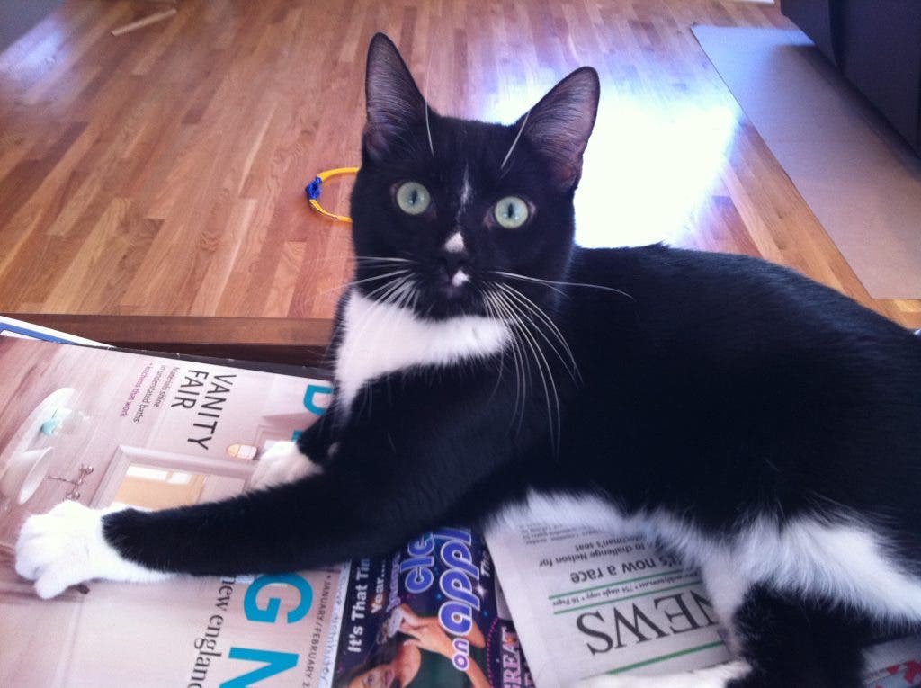 News small post card thumbnail