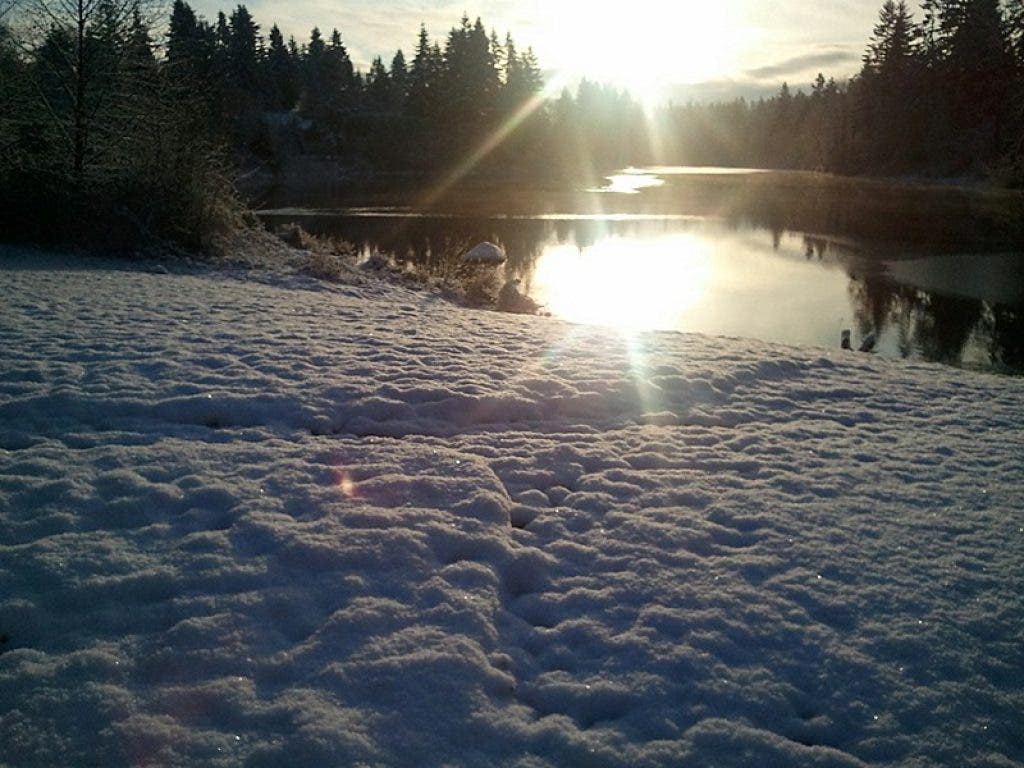 Snow in Woodinville Not as Much as Predicted Woodinville, WA Patch