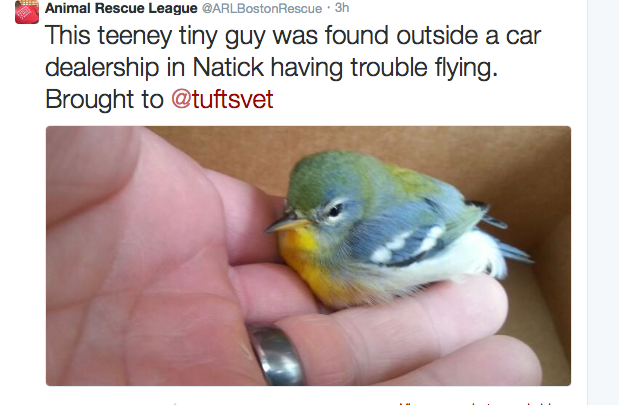 News small post card thumbnail