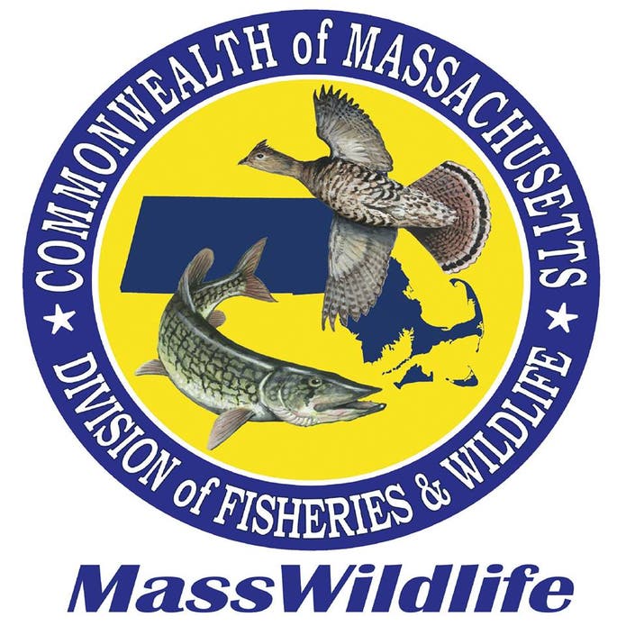 Mass. Hunting, Fishing Licenses Now Available Westborough, MA Patch