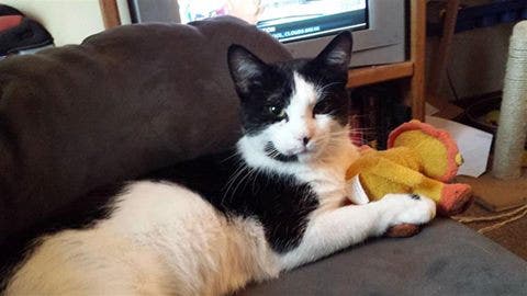 News small post card thumbnail