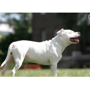 201507559d9065de535.png