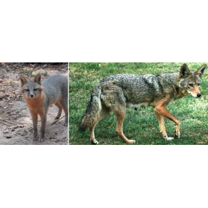 20150755a282af8c08f.png