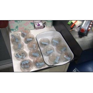 20150855bfbb25f312a.jpg