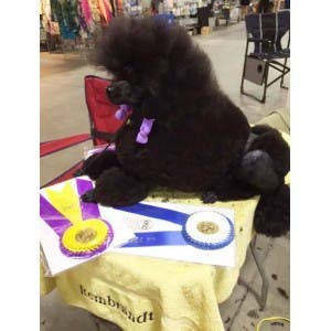 20150855c8d7ab93dd9.jpg