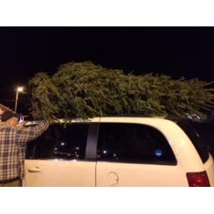 20151256744d2435954.jpg