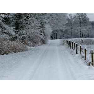 201601568ae111554f6.png
