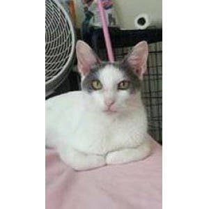 20160256b3d8e5766e9.jpg