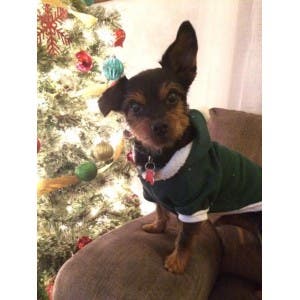 20160256ba3be20bd99.jpg