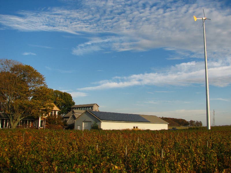 Shinn Estate Vineyards Vine tastic Nature Learning Summer 2016 North shinn-estate-vineyards-vine-tastic-nature-learning-summer-2016-north