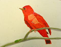 News small post card thumbnail