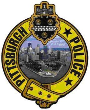 jan brookline blotter dec police patch burglary