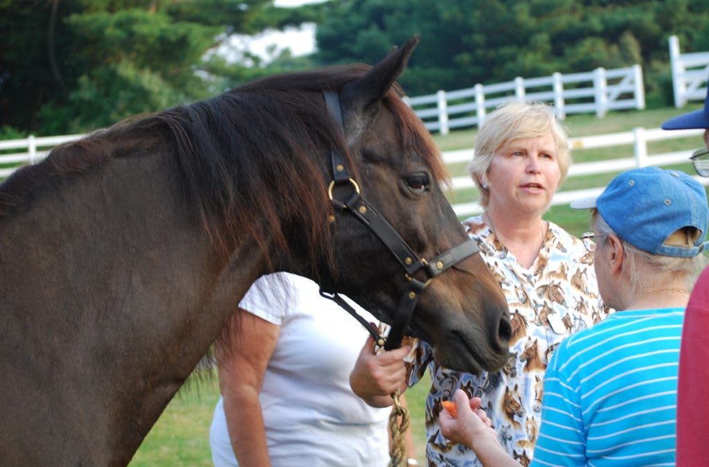 Friends of 2nd Co. Governor's Horse Guard Hold Rally Newtown, CT Patch