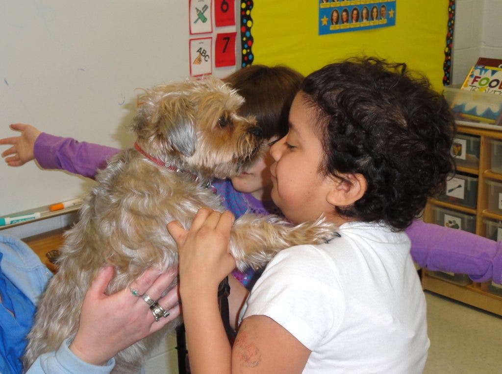 Photo Gallery: Therapy Dogs Visit Yorkville Middle School | Yorkville ...