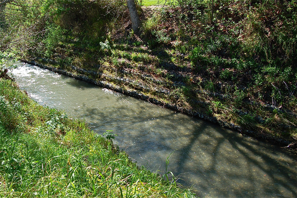 Who Will Clean Saratoga Creek? Saratoga, CA Patch