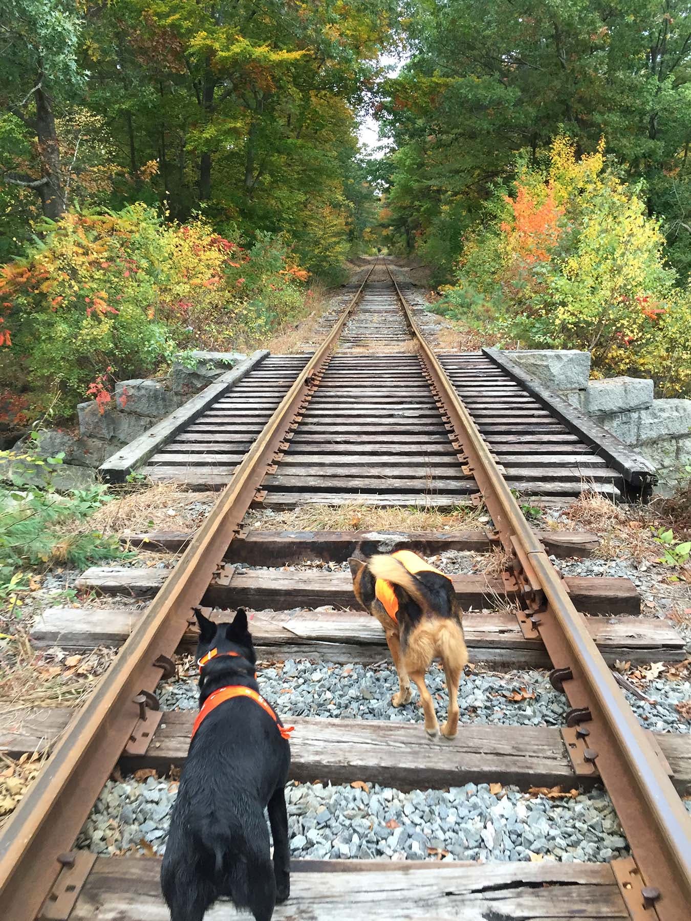 Naturally Greenland (New Hampshire) Portsmouth, NH Patch