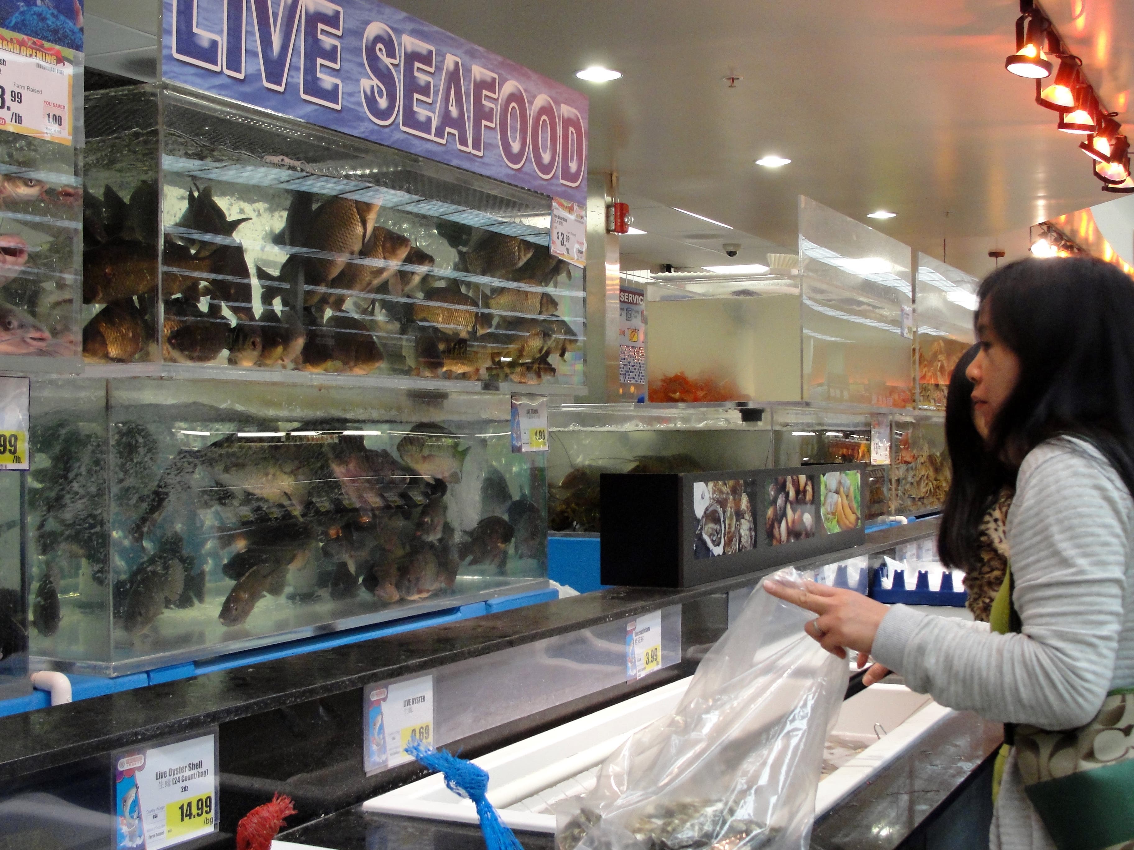 99 Ranch Opens, as Pleasanton's Grocery Landscape Morphs | Pleasanton ...
