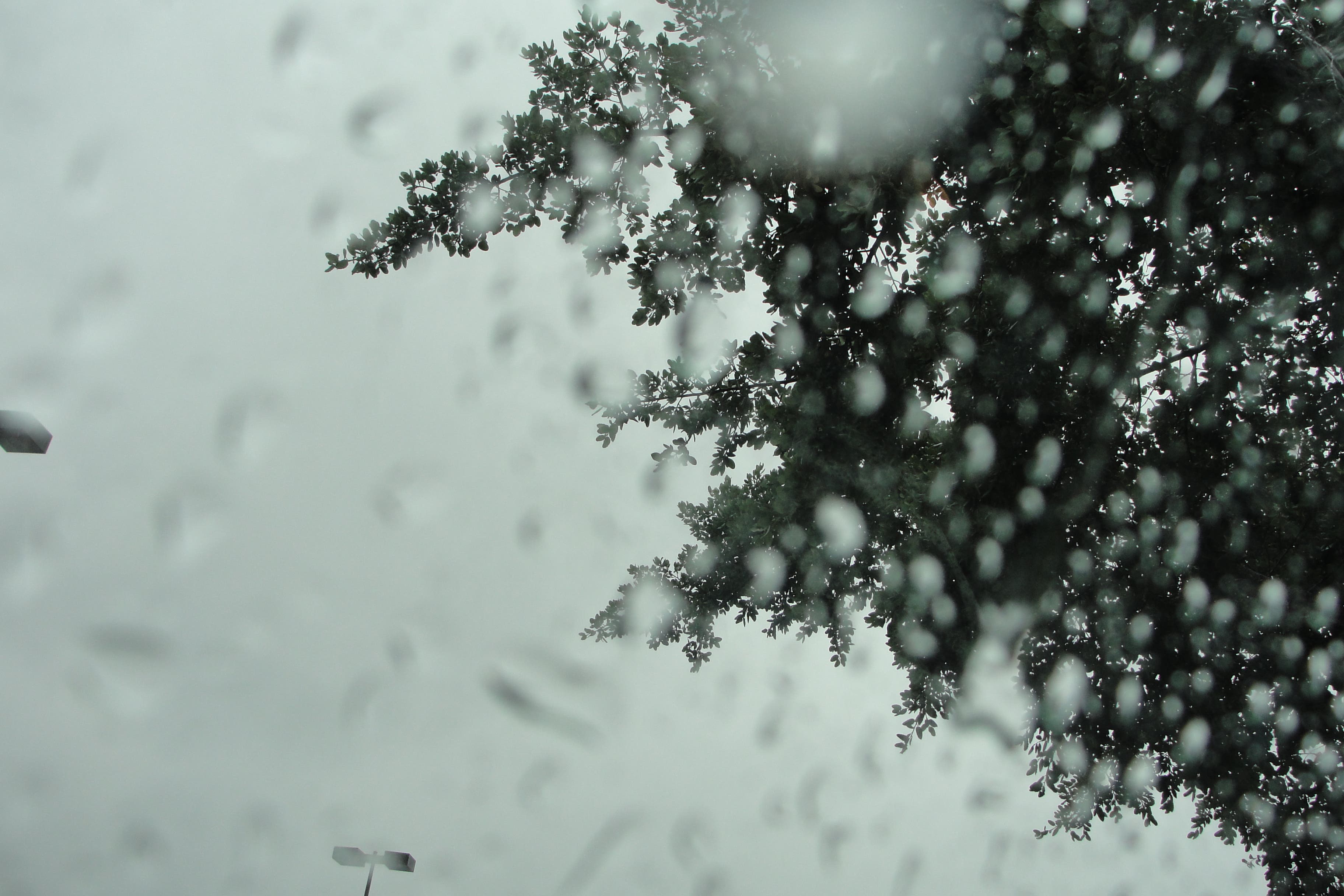 Rain and Wind Forecasted Today, Holiday Weekend