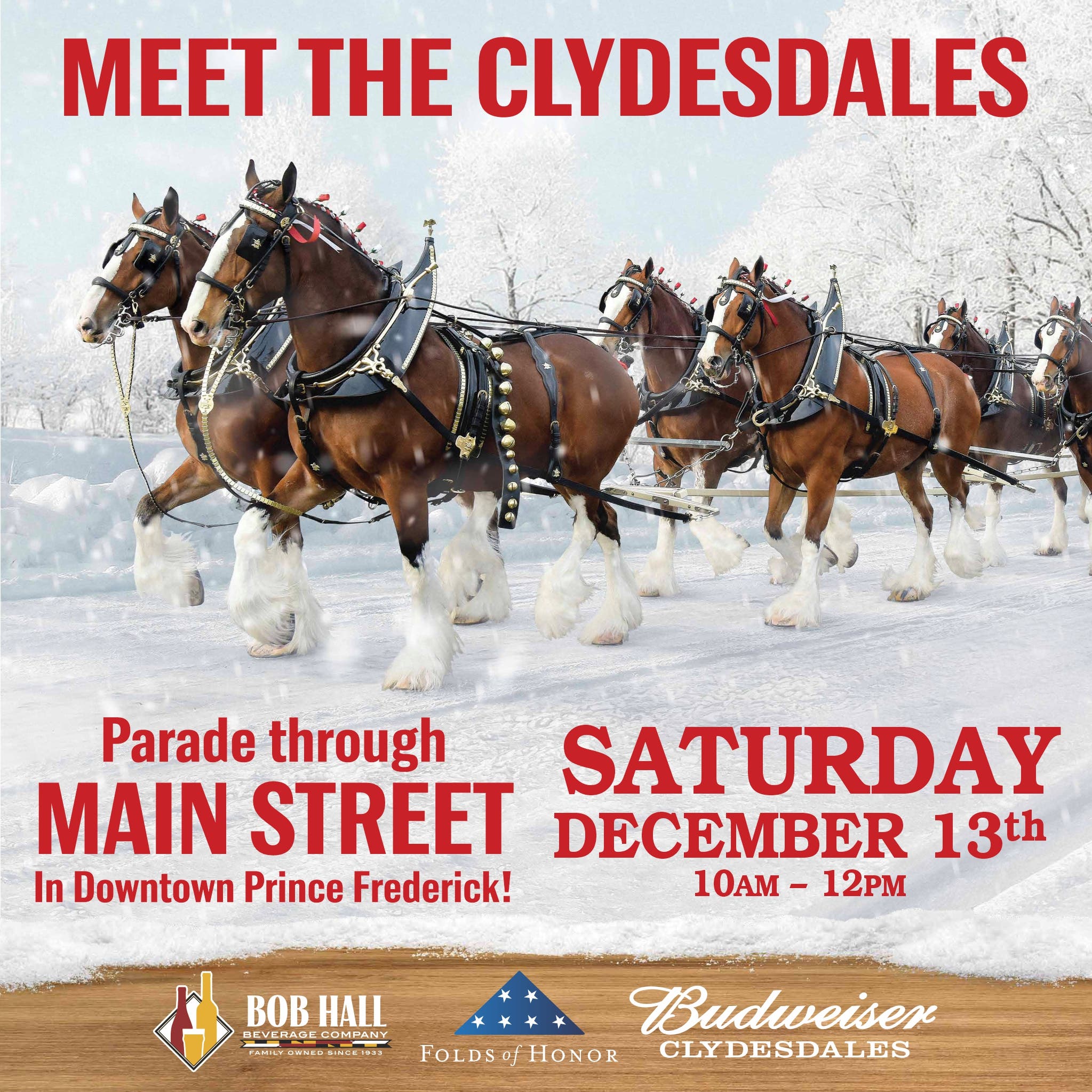 Budweiser Clydesdales