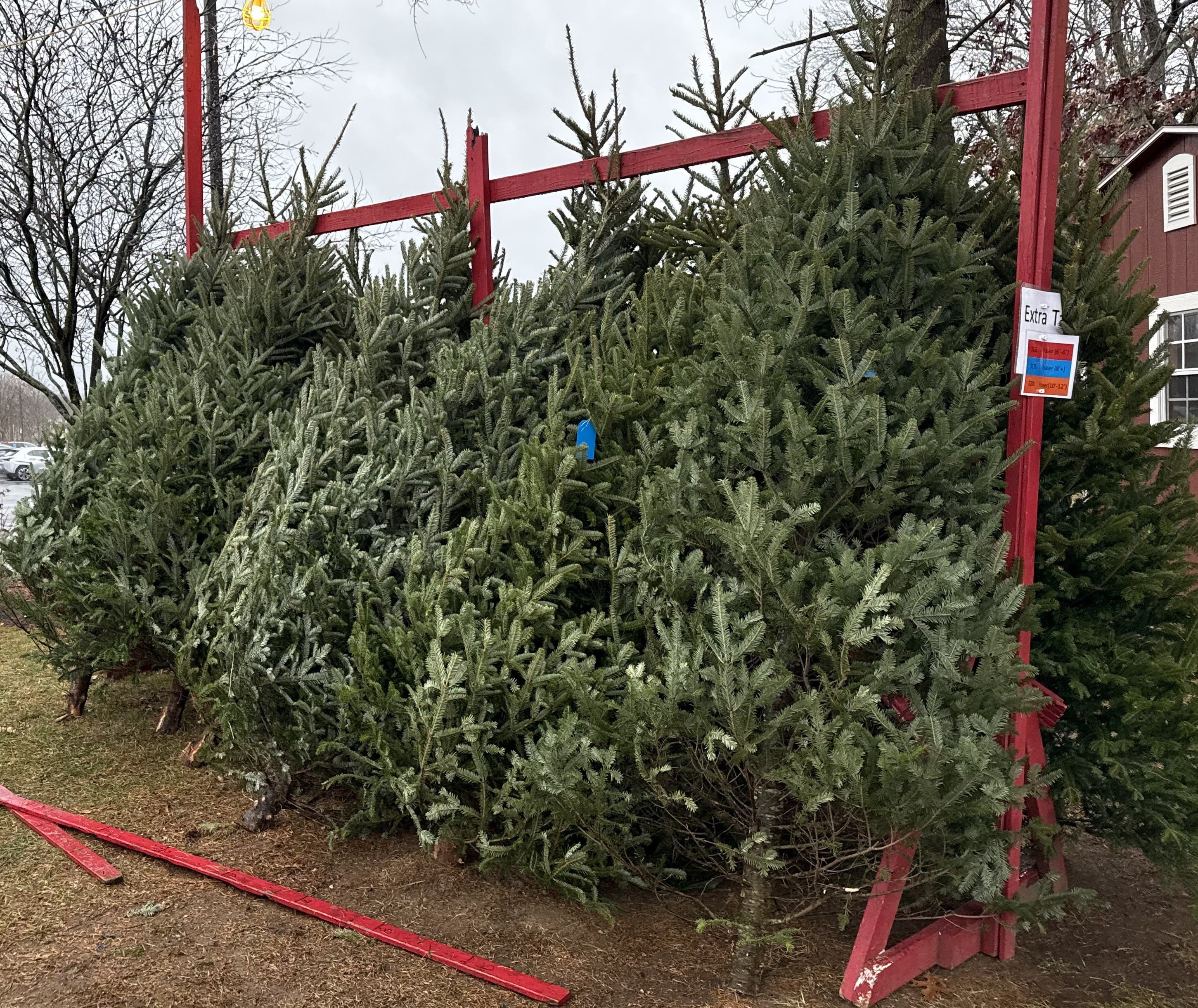BSA Troop 274 Christmas Tree & Wreath Event