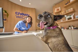 Chewy Vet Care