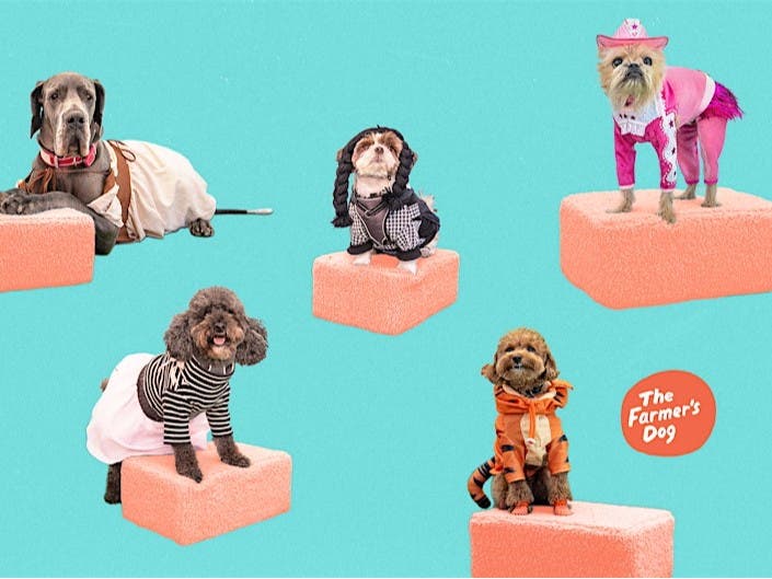 Woof-o-ween presented by The Farmer's Dog
