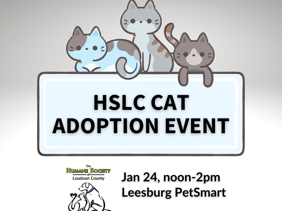 Humane Society of Loudoun County Adoption Event