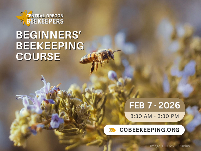 Beginners’ Beekeeping Course