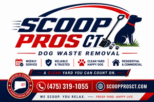 Scoop Pros CT