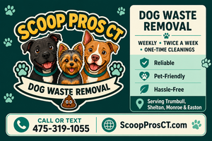 Scoop Pros CT