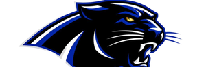 Black Panthers Peak Performance Basketball