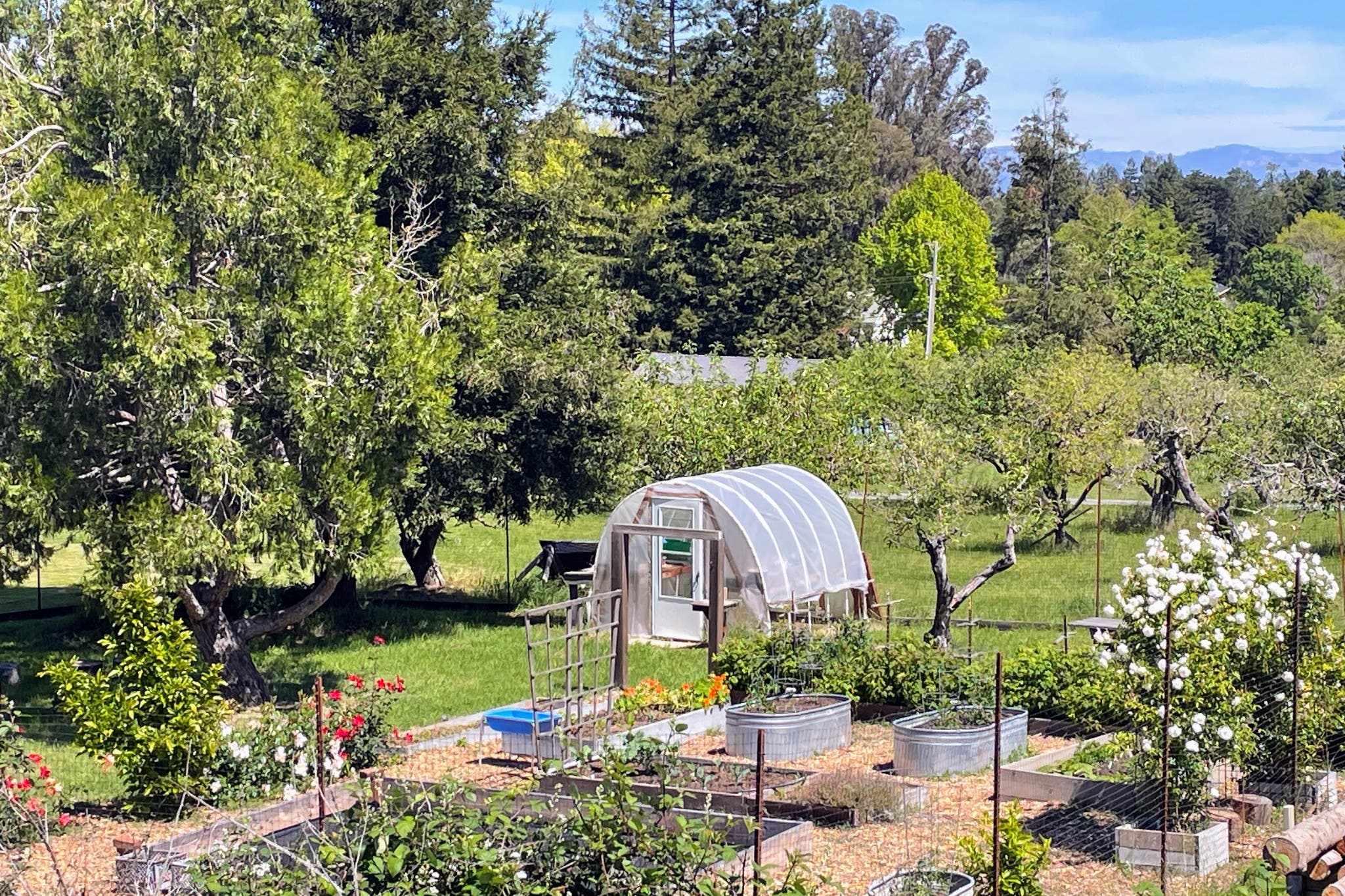 Apple Orchard Preschool