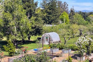 Apple Orchard Preschool
