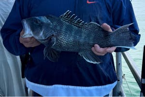 Tru Patriot Fishing LLC