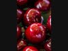 South Orange Farmers Market Returns 30th  Season Wed Jun 2