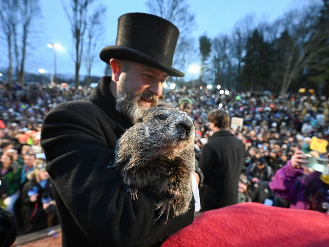 Punxsutawney Phil said it will be an early spring. Learn more about groundhogs during a nature walk at the Churchville Nature Center on Sunday.
