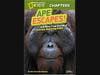 Ape Escapes!