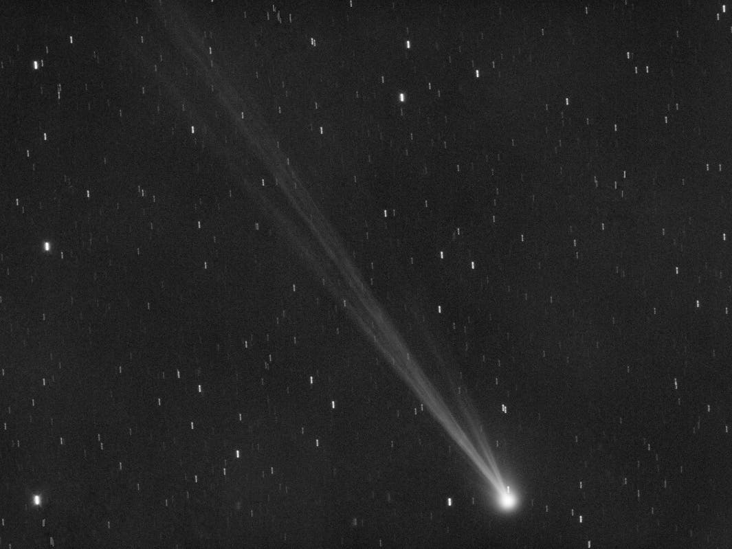 This image provided by Gianluca Masi shows the comet C/2023 P1 Nishimura and its tail seen from Manciano, Italy on Sept. 5, 2023. Stargazers across the Northern Hemisphere should catch a glimpse as soon as possible.