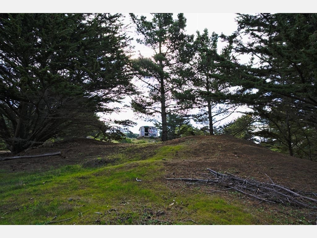 Ben Parli captured this photo hiking the trails of Milagra Ridge National Park.