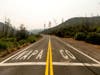 Scorched trees line a hillside at the border of Napa County, Calif., as the LNU Lightning Complex fires burn nearby on Monday, Aug. 24, 2020.