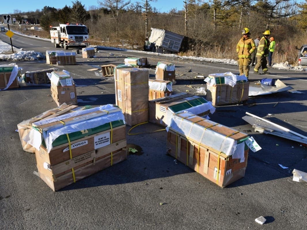 News small post card thumbnail