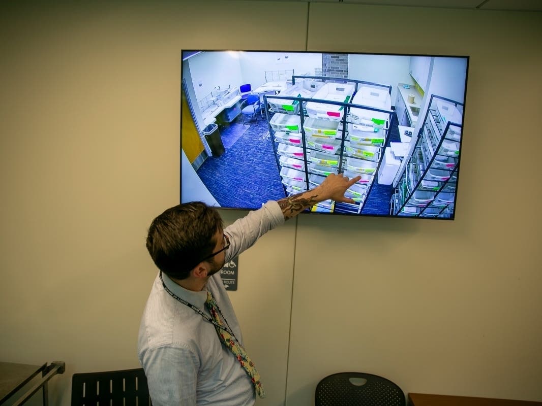 James O'Malley, Bucks County Deputy Director of Communications, gestures to a screen that shows a live, closed-circuit video feed of mail-in ballots in a secure room on Election Day.