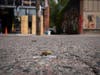 A bullet casing is seen after shots were fired in George Floyd Square on the one year anniversary of George Floyd's death on Tuesday, May 25, 2021, in Minneapolis.