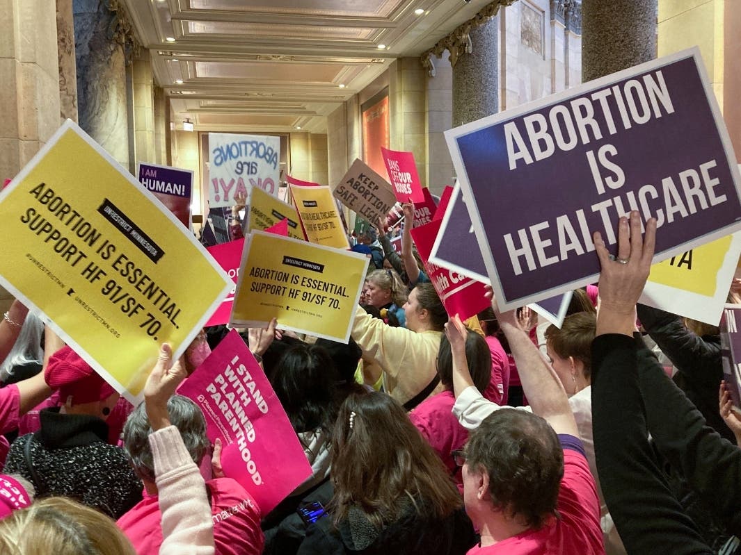 Abortion protesters on both sides pack the halls outside the Minnesota Senate chamber on Friday, Jan. 27, 2023, at the State Capitol in St. Paul, Minn.