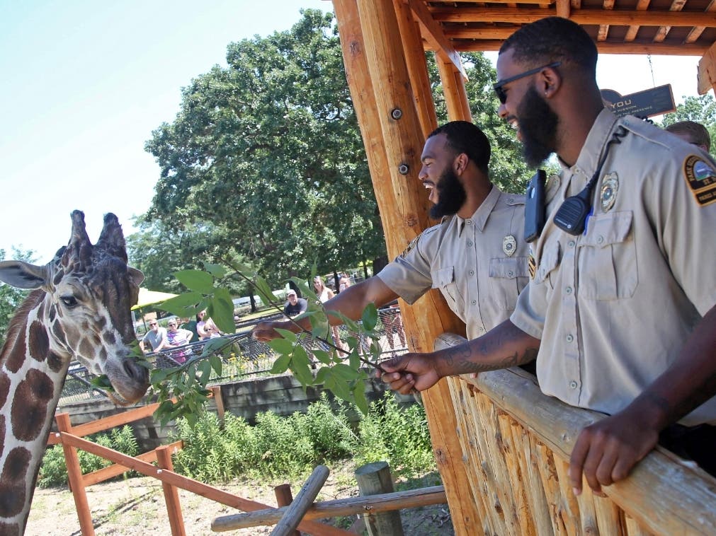 Como Zoo Big Cat Habitat Gets $9.3M For Major Upgrade