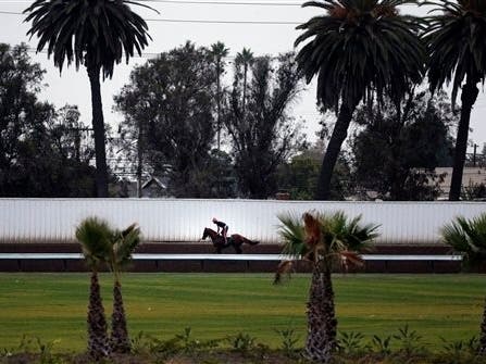 Sunday's 400-yard quarter horse race proved deadly for Forgot the Rose, a 2-year-old filly who was carted off the track and later euthanized after injury.