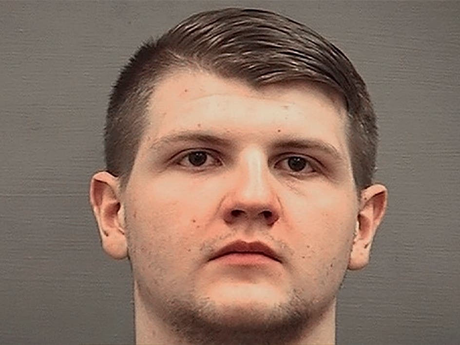 A McLean man tied to white supremacist groups pleaded guilty to gun charges.