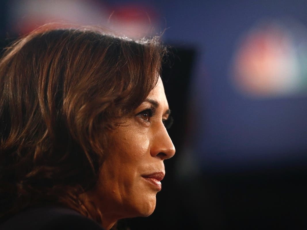 Sen. Kamala Harris took former Vice President Joe Biden to task at the second Democrat debate June 28. 