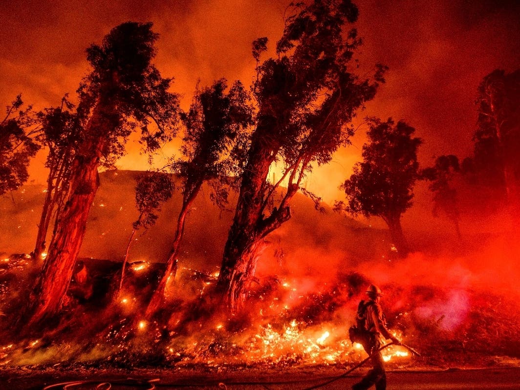 Flames from a backfire consume a hillside as firefighters battle the Maria Fire on Nov. 1 in Santa Paula, California.